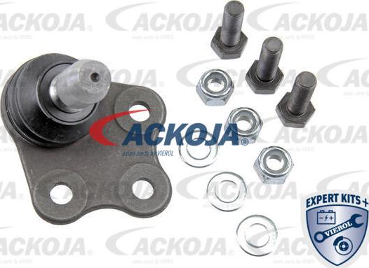 ACKOJA A51-9505 - Шарнири vvparts.bg