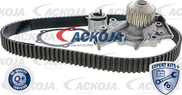 ACKOJA A51-0202W - Водна помпа+ к-кт ангренажен ремък vvparts.bg