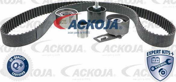 ACKOJA A53-0201 - Комплект ангренажен ремък vvparts.bg