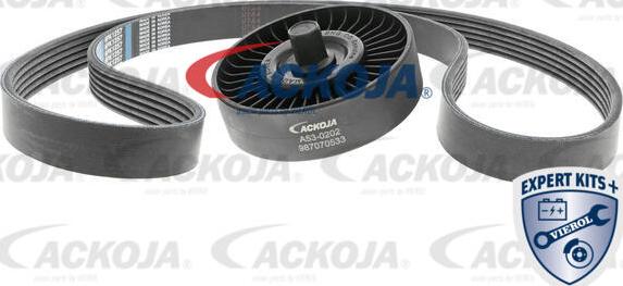 ACKOJA A53-0202 - Комплект пистов ремък vvparts.bg