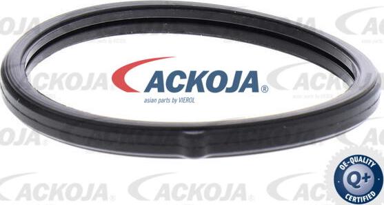 ACKOJA A52-99-0019 - Термостат, охладителна течност vvparts.bg