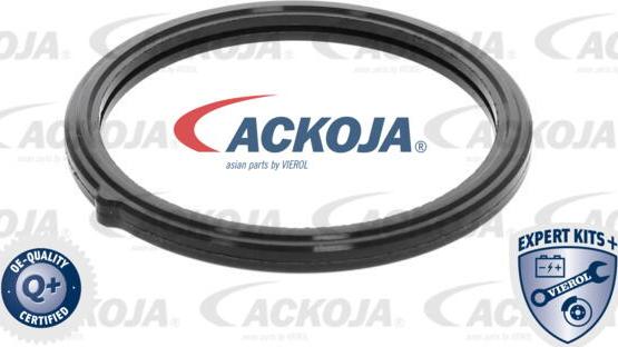 ACKOJA A52-99-0010 - Термостат, охладителна течност vvparts.bg