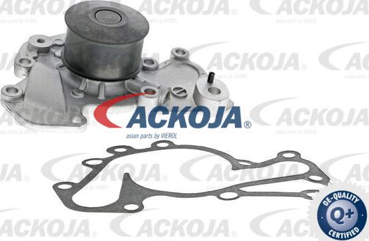 ACKOJA A52-50002 - Водна помпа vvparts.bg