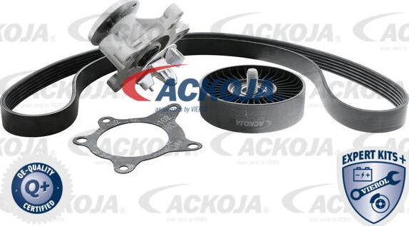 ACKOJA A52-0207 - Комплект пистов ремък vvparts.bg