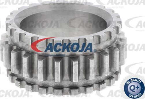 ACKOJA A52-10001-SP - Комплект ангренажна верига vvparts.bg