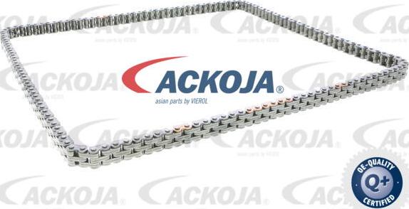 ACKOJA A52-10001 - Комплект ангренажна верига vvparts.bg