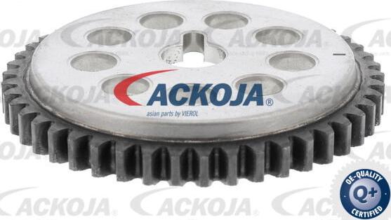 ACKOJA A52-10001-SP - Комплект ангренажна верига vvparts.bg