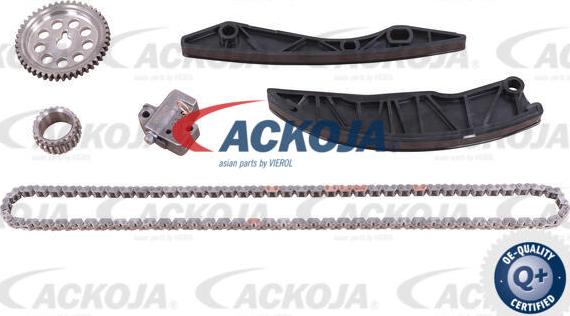 ACKOJA A52-10001-SP - Комплект ангренажна верига vvparts.bg