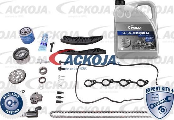 ACKOJA A52-10001-XXL - Комплект ангренажна верига vvparts.bg