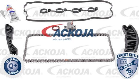 ACKOJA A52-10001 - Комплект ангренажна верига vvparts.bg