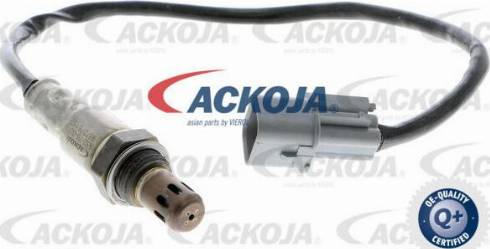 ACKOJA A52-76-0016 - Ламбда-сонда vvparts.bg