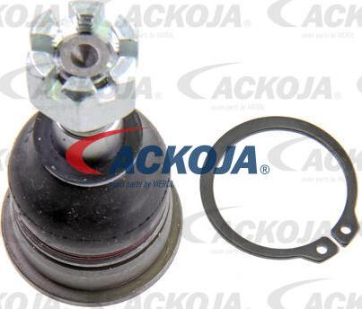 ACKOJA A38-1203 - Шарнири vvparts.bg