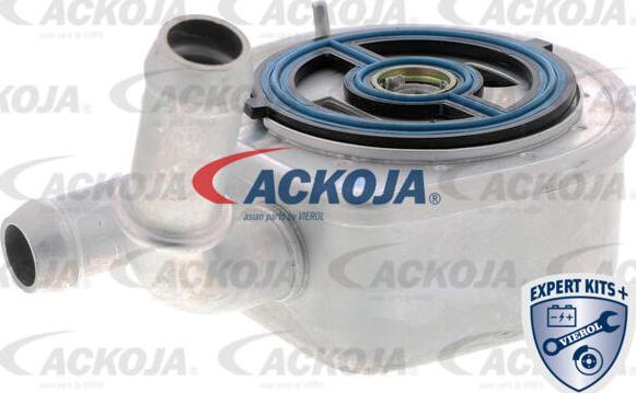 ACKOJA A32-60-0002 - Маслен радиатор, двигателно масло vvparts.bg