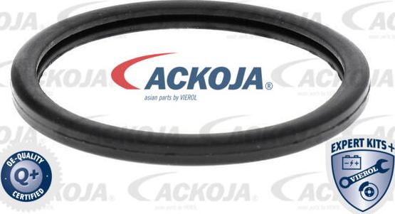 ACKOJA A37-99-0006 - Термостат, охладителна течност vvparts.bg