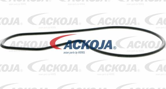 ACKOJA A26-50010 - Водна помпа vvparts.bg