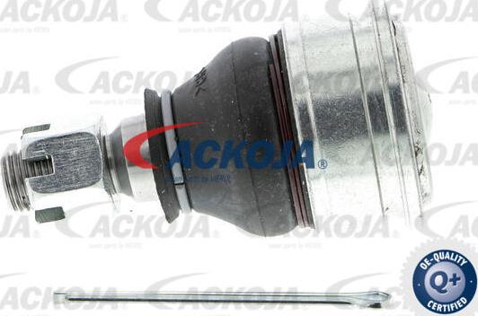 ACKOJA A26-1121 - Шарнири vvparts.bg