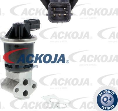 ACKOJAP A51-63-0002 - AGR-Клапан vvparts.bg