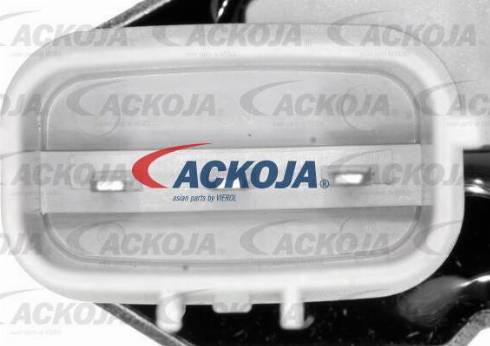 ACKOJAP A51-0208 - Водна помпа+ к-кт ангренажен ремък vvparts.bg