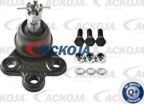 ACKOJAP A51-1103 - Шарнири vvparts.bg