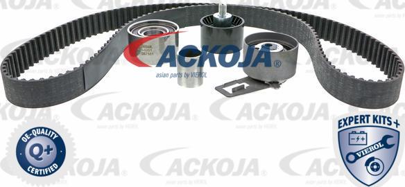 ACKOJAP A53-0201 - Комплект ангренажен ремък vvparts.bg