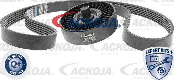 ACKOJAP A53-0202 - Комплект пистов ремък vvparts.bg