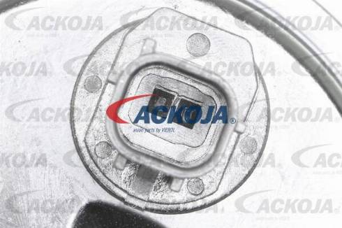 ACKOJAP A52-0204 - Комплект ангренажен ремък vvparts.bg