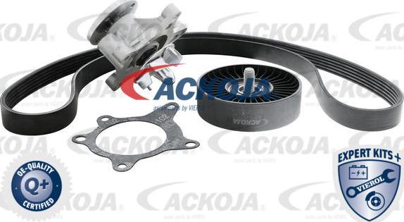 ACKOJAP A52-0207 - Комплект пистов ремък vvparts.bg