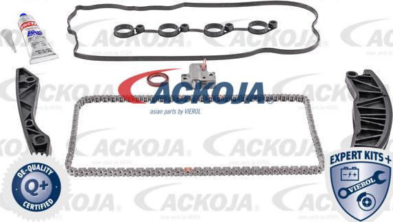 ACKOJAP A52-10001 - Комплект ангренажна верига vvparts.bg