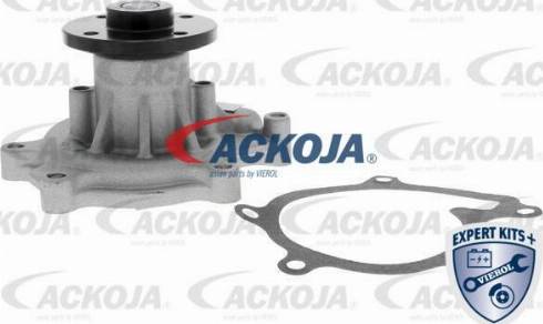 ACKOJAP A52-10003 - Комплект ангренажна верига vvparts.bg