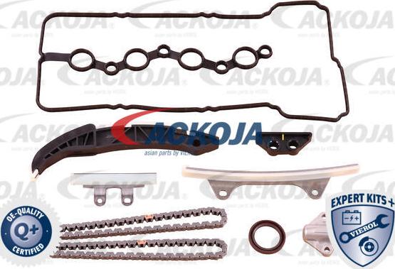 ACKOJAP A52-10002 - Комплект ангренажна верига vvparts.bg