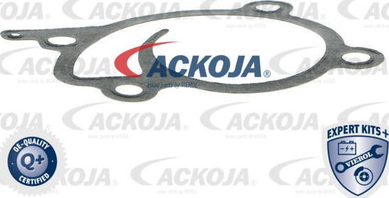 ACKOJAP A38-50009 - Водна помпа vvparts.bg