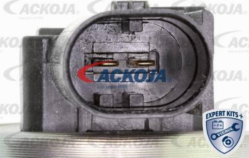 ACKOJAP A38-0287 - Комплект колесен лагер vvparts.bg