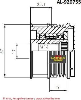 AINDE AL920755 - Ремъчна шайба, генератор vvparts.bg