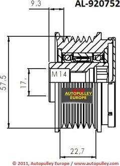 AINDE AL920752 - Ремъчна шайба, генератор vvparts.bg