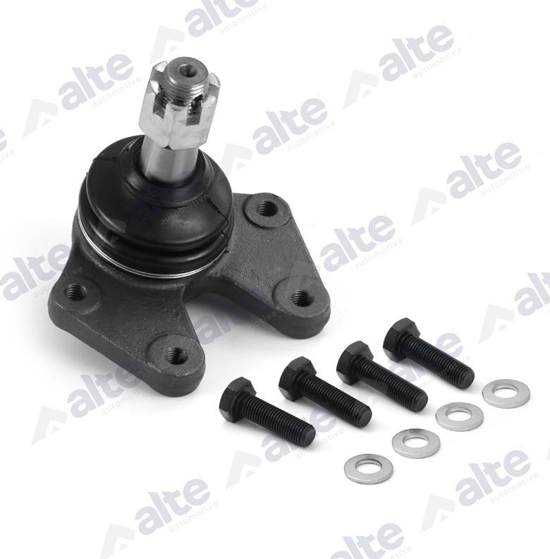 ALTE AUTOMOTIVE 79862AL - Шарнири vvparts.bg