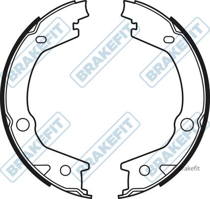 APEC BSH1066 - Комплект спирачна челюст, ръчна спирачка vvparts.bg