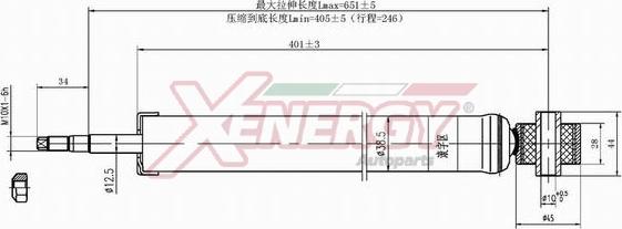 AP XENERGY X438343 - Амортисьор vvparts.bg