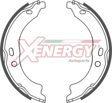 AP XENERGY X50453 - Комплект спирачна челюст vvparts.bg