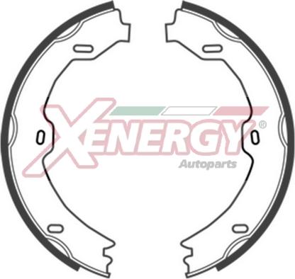 AP XENERGY X50406 - Комплект спирачна челюст vvparts.bg