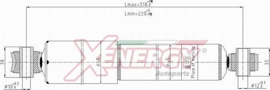 AP XENERGY X100444 - Амортисьор vvparts.bg