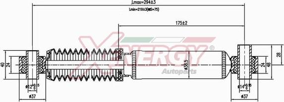 AP XENERGY X101341 - Амортисьор vvparts.bg