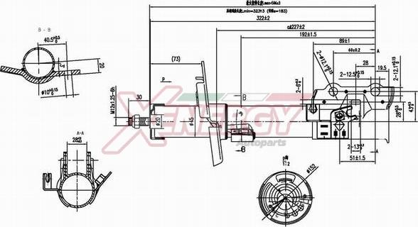 AP XENERGY X8041334 - Амортисьор vvparts.bg