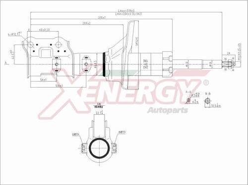 AP XENERGY X298333 - Амортисьор vvparts.bg