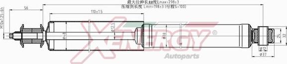 AP XENERGY X293443 - Амортисьор vvparts.bg