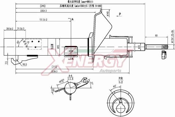 AP XENERGY X760333 - Амортисьор vvparts.bg