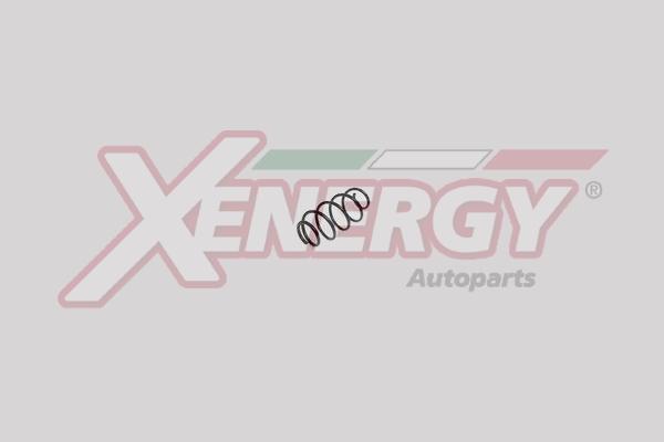 AP XENERGY XSH1317 - Пружина за ходовата част vvparts.bg