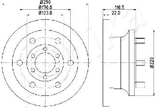 Ashika 60-00-0256 - Спирачен диск vvparts.bg