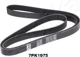 Ashika 112-7PK1975 - Пистов ремък vvparts.bg