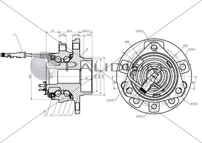 Ashuki PAL6-2046 - Комплект колесен лагер vvparts.bg