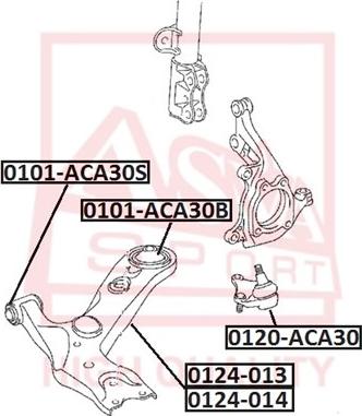 ASVA 0124-014 - Носач, окачване на колелата vvparts.bg